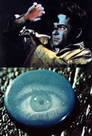 5603dreams_montage_thumb2