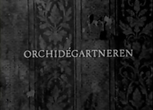 orchidegartneren0002